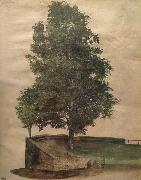 Albrecht Durer Linden Tree on a Bastion France oil painting artist
